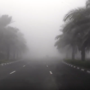 بالفيديو: هكذا غطى الضباب مدينة دبي صباح الإثنين 