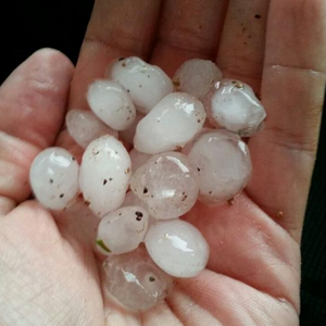 أمطار غزيرة و برد..و صواعق تُزين السماء في الذيد  