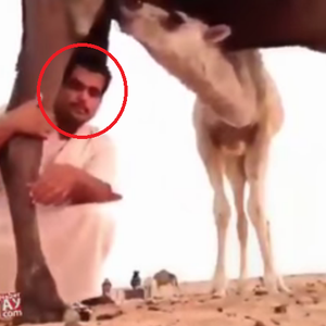 نهاية مؤلمة لشاب أراد التقاط سلفي في مكان غير مُناسب 