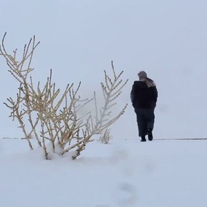 "ثلوج الشمال 2015" في مشاهد مميزة بعدسة أسامة الحربي 