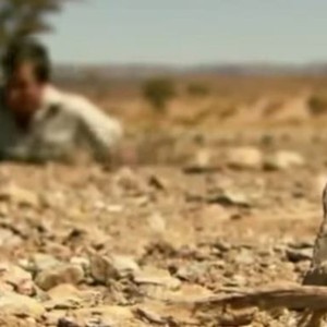 كيف تنجو بنفسك من الرمال المتحركة؟ فيديو حقيقي