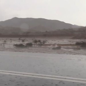 فيديو جميل لأمطار حزرة بالمدينة المنورة 