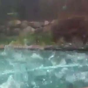 فيديو: حبات البرد تتساقط كالحجارة في استرليا