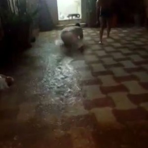 فيديو طريف للغاية: شاهد فرحة الشباب السعودي بغزارة الأمطار  