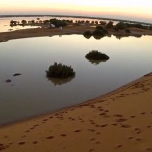 بالفيديو: بعد أسبوعين من الامطار .. البحيرات لازالت صامدة في صحراء النفوذ 