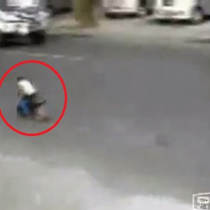 بالفيديو: قرد يقود دراجة نارية بمهارة عالية! 