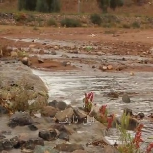 بالفيديو: شاهد كيف استقبلت حائل يومها بثوب مختلف 