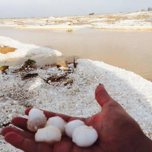 طبرجل تشهد بردية قوية