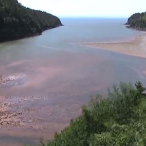  فيديو رائع يرصد ظاهرة المد والجزر من على السواحل الكندية 