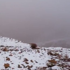 عاجل : فيديو خاص جبل اللوز يتزين بالثوب الأبيض للمرة الثانية هذا العام 