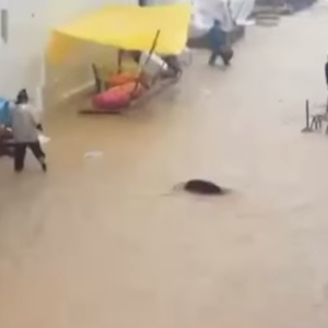 فيضانات عارمة تجتاح مدينة الفنيدق المغربية  