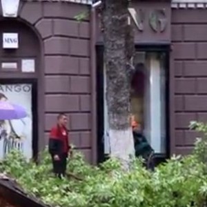 بالفيديو: شجرة كادت أن تنهي حياة فتاة أثناء عبورها للطريق