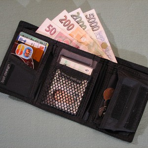 ماذا يحدث عندما تسقط محفظتك عن طريق الخطأ في طرقات دبي