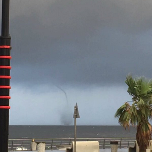 أول فيديو يرصد الشاهقة المائية النادرة التي ظهرت قبالة سواحل جدة 