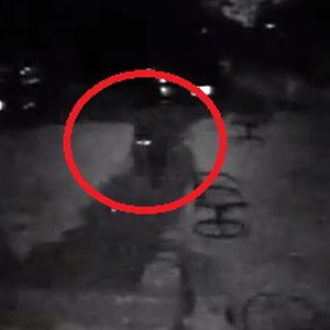 بالفيديو: دب يقتحم منزل شاب في منتصف الليل 