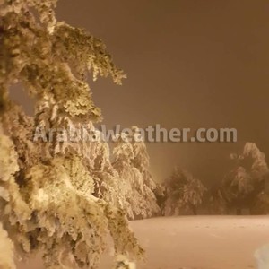 ٥٠ صورة لمترين من الثلوج في الطفيلة