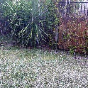 بالفيديو: تساقط البرد على الاحساء وفرحة كبيرة للمصور 