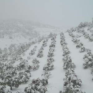 إحصائيات وأرقام شاملة لتأثيرات عاصفة هدى الثلجية على المملكة 