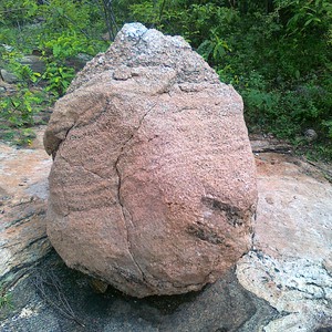 مئات الدبابير تُهاجم فريقاً من المهندسين عند تفجيرهم لصخرة وسط الطريق