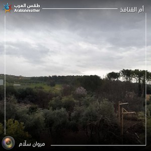 شاهد الصور | منخفض جوي من الدرجة الثالثة يؤثر على الأردن اليوم السبت 16-3-2019