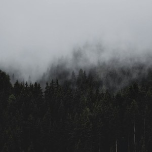 ما هو سبب تشكل ضباب التأفق؟