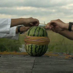 لا تجربها في المنزل.. شاهد ماذا يحدث عند لف البطيخ بأشرطة مطاطية