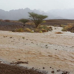 بالفيديو: شاهد جريان الامطار في شوكة بالإمارات يوم الثلاثاء