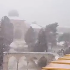 بالفيديو : تصوير لثلوج القدس من سطح قبة الصخرة في المسجد الأقصى المبارك .. مشهد رائع 