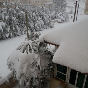 صور : ثلوج كثيفة تُغطي مساحات واسعة من الأردن الجمعة