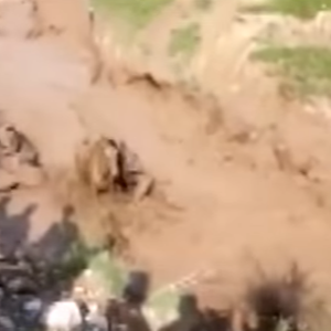 الصين .. "ميرانتي" يسبب فيضانات عارمة 