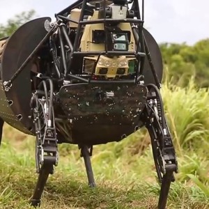 شاهد: روبوتات تقترب من محاكاة الحيوانات    