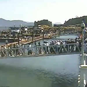 بالفيديو : انهيار مفاجئ لجسر مشاة في الصين .. عشرات الأشخاص في المياه