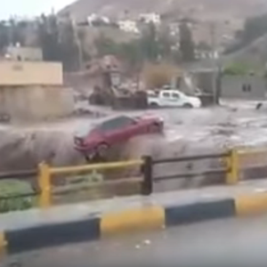 بالفيديو: سيول قوية تجرف عدداً من السيارات في الشونة الشمالية
