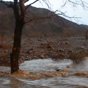 بالفيديو: امطار وعواصف رعدية وتشكل السيول في غرب المدينة المنورة