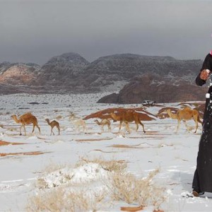 بالصور : شاهد زينة السيارات باليوم الوطني السعودي