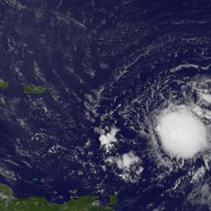 مواجهة شرسة بين قط ونسر من أجل "حمامة" 