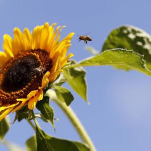 سوبرمان إماراتي يظهر فجأة ليُلبي نداء استغاثة في قاعة دراسية 