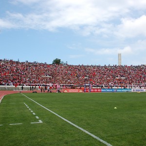 قطيع من الأبقار يقتحم ملعباً ويجبر اللاعبين على التوقف عن اللعب