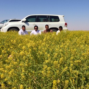 صور للربيع لن تُصدق أنها في السعودية 