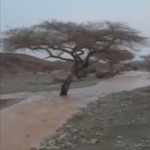 جريان الاودية والامطار في محافظة العيص