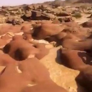 مشاهد جميلة من سيول بقعاء عصر الإثنين 