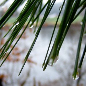 هل ستشهد أجزاء من فلسطين أولى أمطار الموسم نهاية الأسبوع الحالي ؟ 