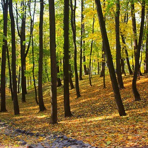 Bulgaria Park .. Learn about the beautiful nature in Bulgaria
