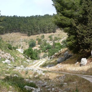 الجيش يعثر على الطفلة "لميس" بعد يوم من اختفائها في احراش كفرنجة 