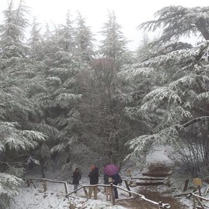 طقس السبت : شتوي ماطر وثلوج على بعض الجبال