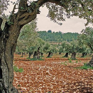 تراجع نسبي في البرودة خلال الأيام القليلة القادمة
