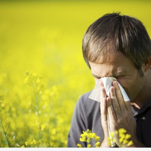 الفصول الأربعة تؤثر على نشاط جينات الجهاز المناعي للجسم