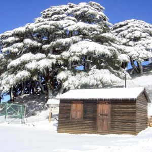 لبنان يتأثر بمنخفض جوي بارد يستمر حتى الأحد .. والثلوج الى ؟