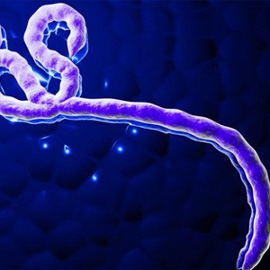 الصحة العالمية تمنع سفر المشتبه بهم بالمرض بفيروس الإيبولا 