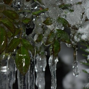 الأردن | انقطاع للمياه في الطفيلة وتضرر الكثير من المزارع في الأغوار بسبب الإنجماد